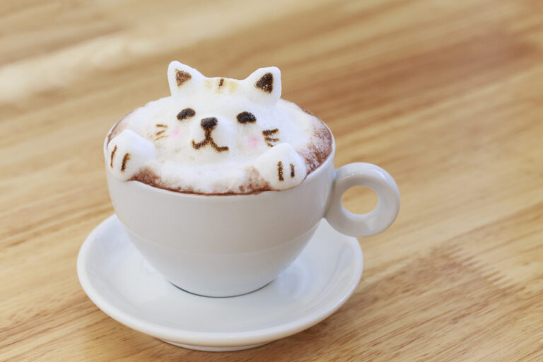 Cat Cafés – Kitty Heaven or Cause for Concern?