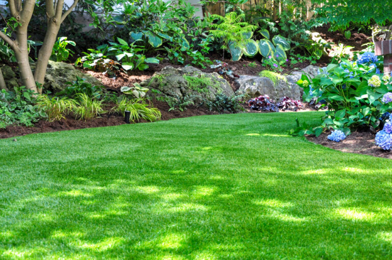 Does a lawn need to be grass?